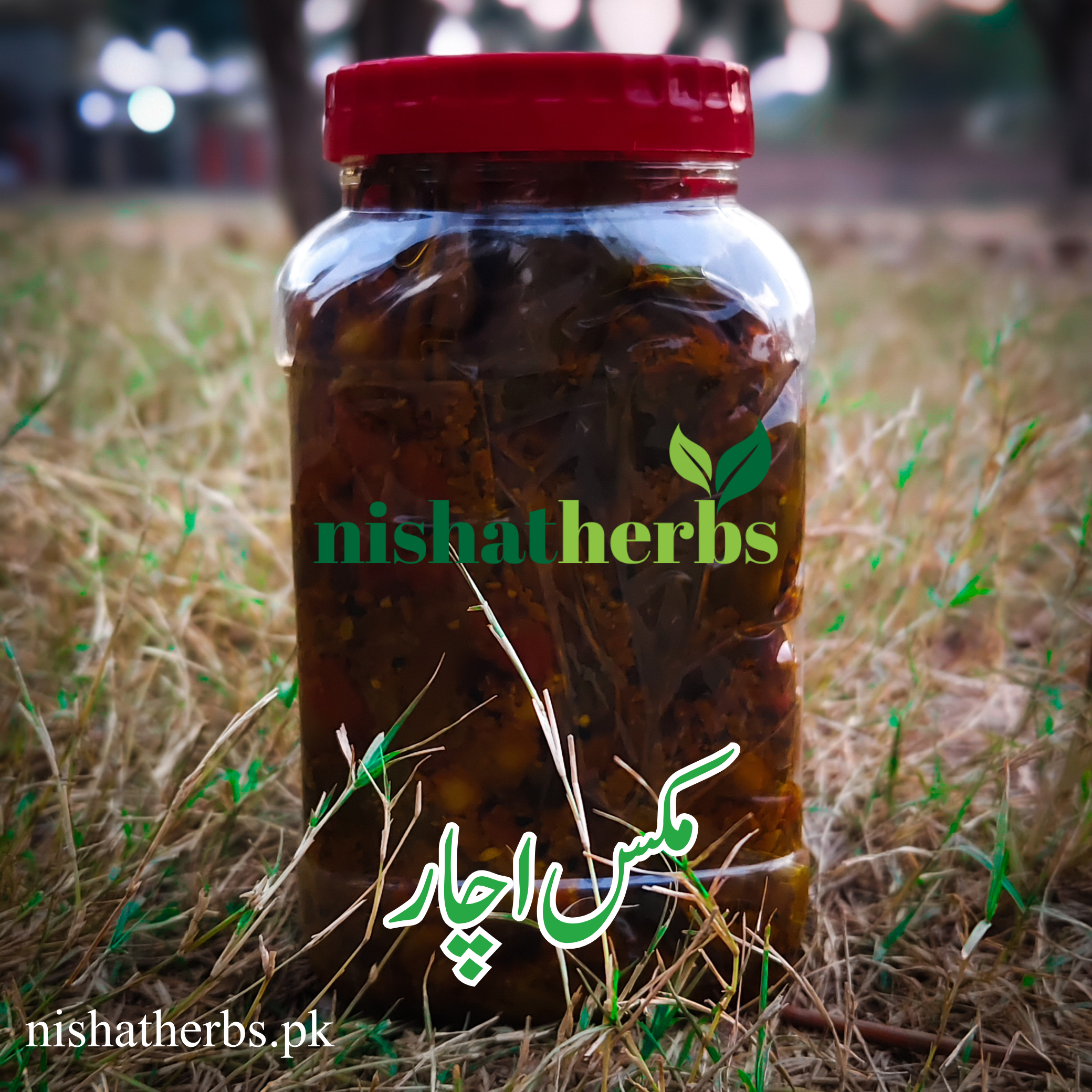 Mix Pickle (مکس اچار)