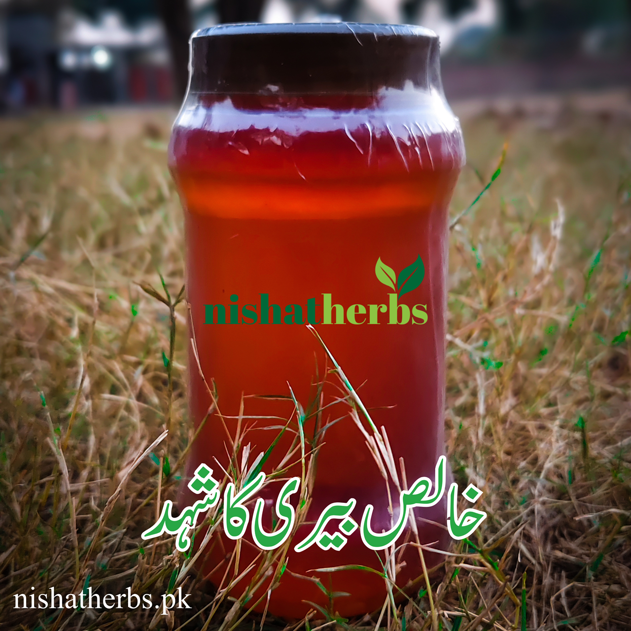 Pure Sidr(Beri) Honey (خالص بیری کا شہد)