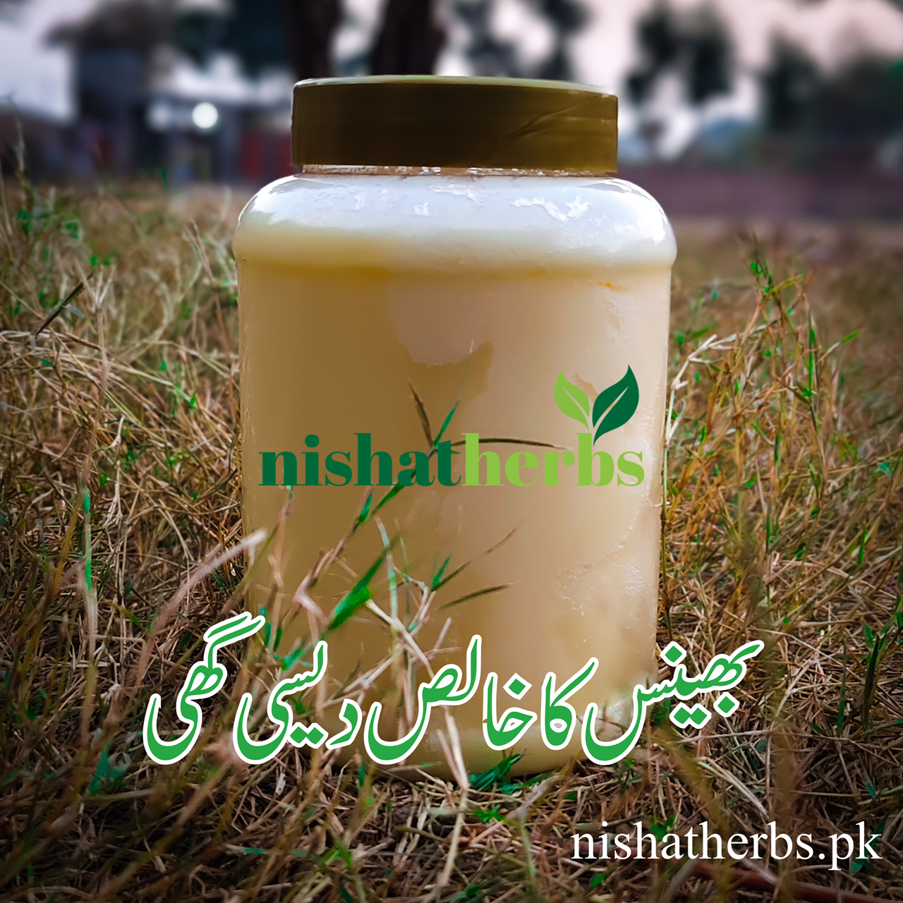Desi Ghee (بھینس کا دیسی گھی)