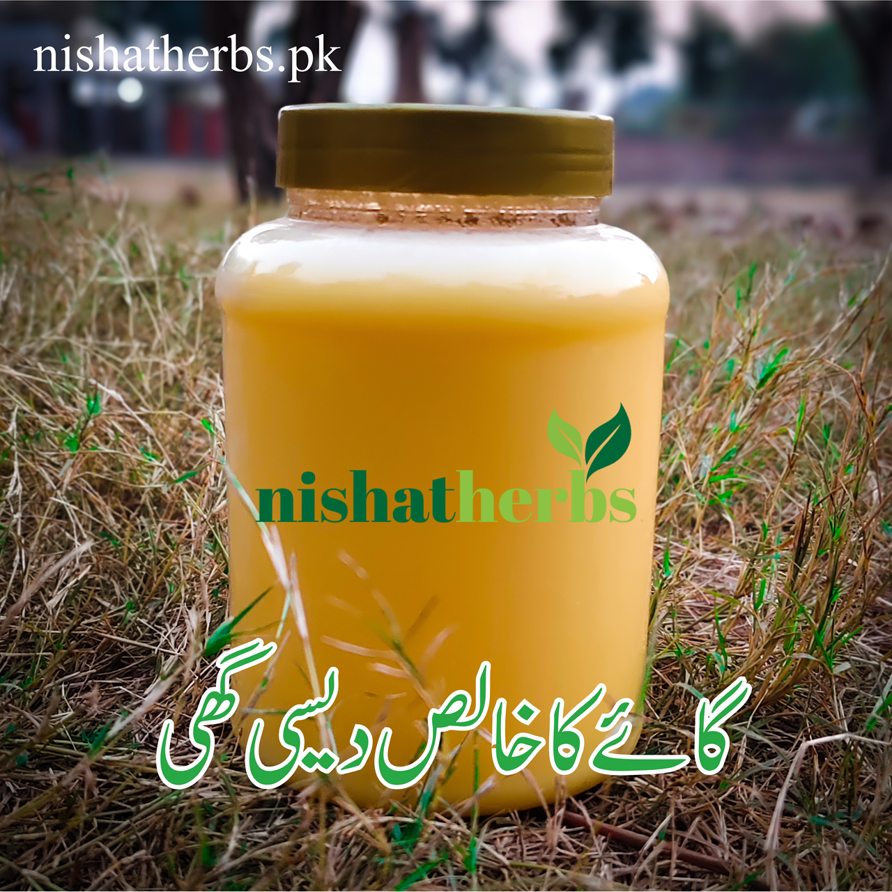 Desi Ghee (گائے کا دیسی گھی)